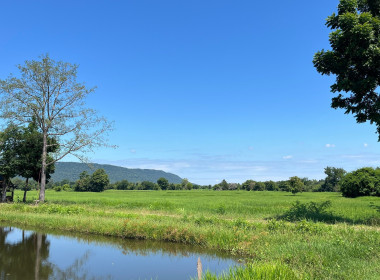 ลงพื้นที่ติดตามการใช้เงินกู้กองทุนสงเคราะห์เกษตรกร พารามิเตอร์รูปภาพ 4